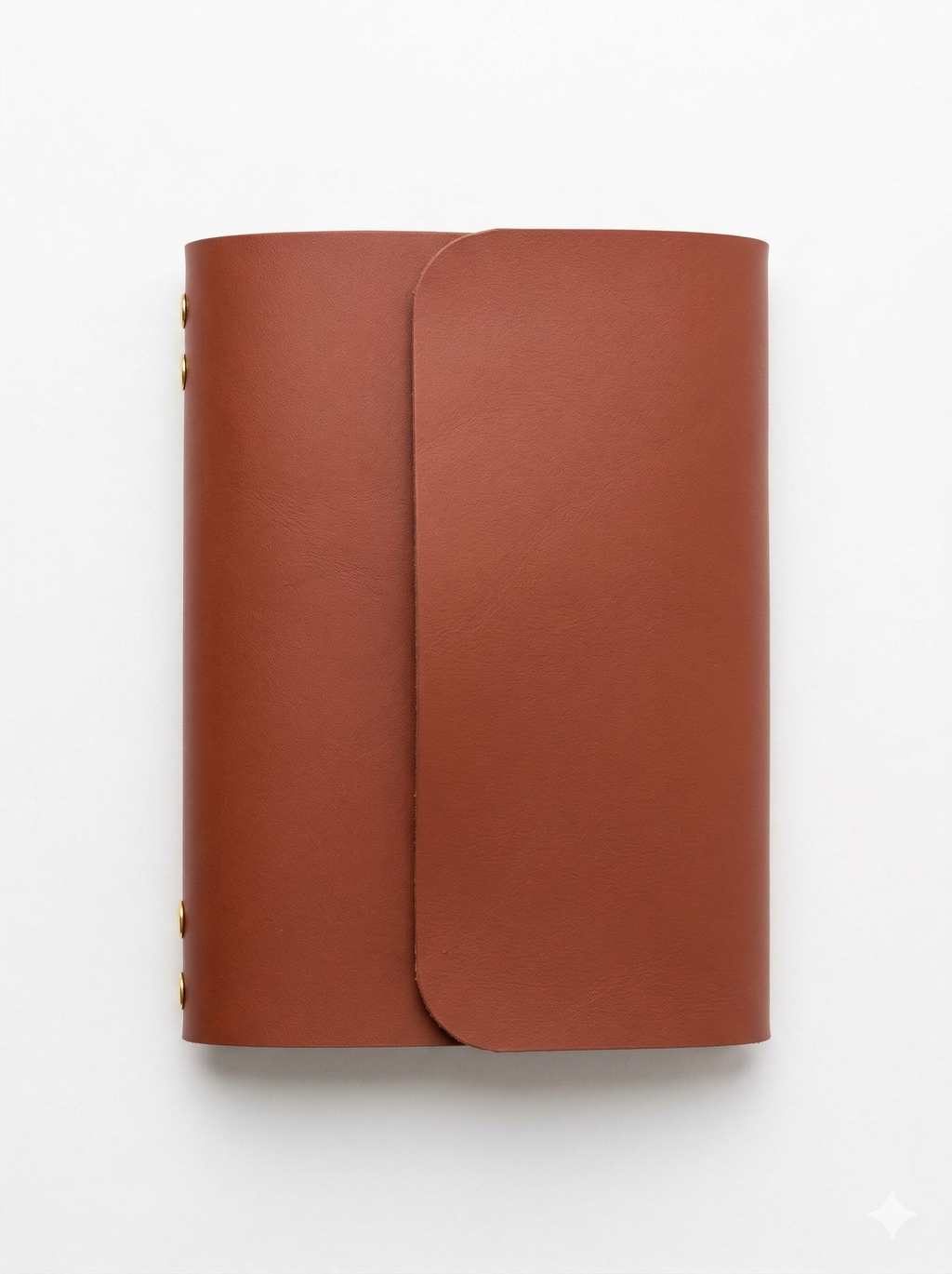 Journal de vinipiel