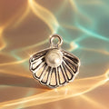 Venus shell